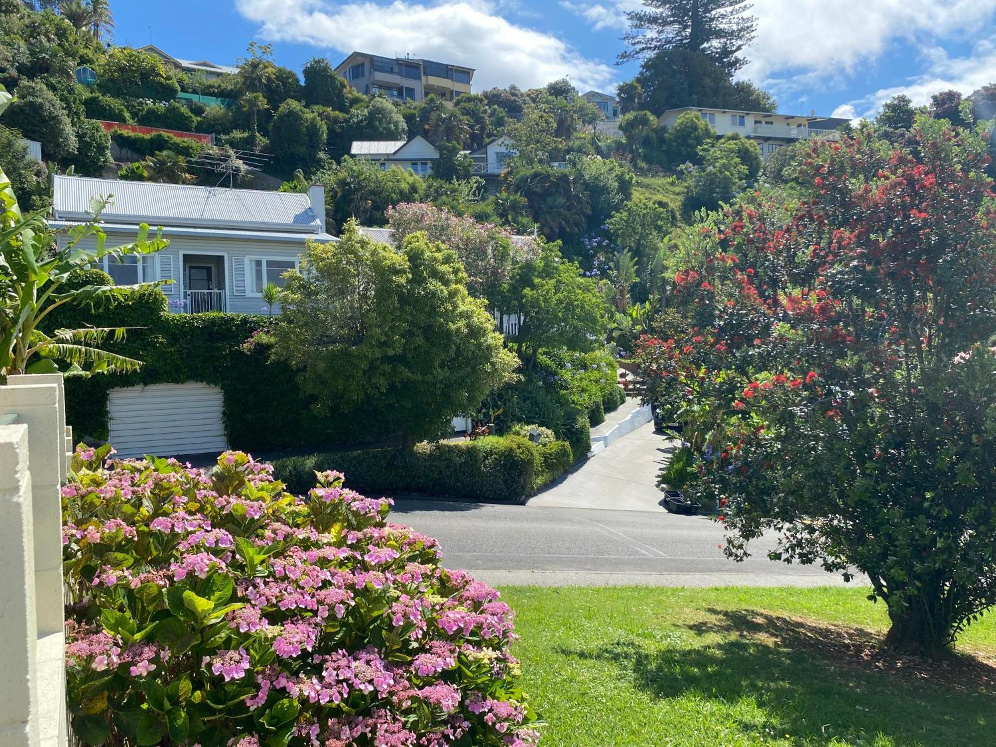 Maison Blue - Chic Garden Apartment Napier Luaran gambar